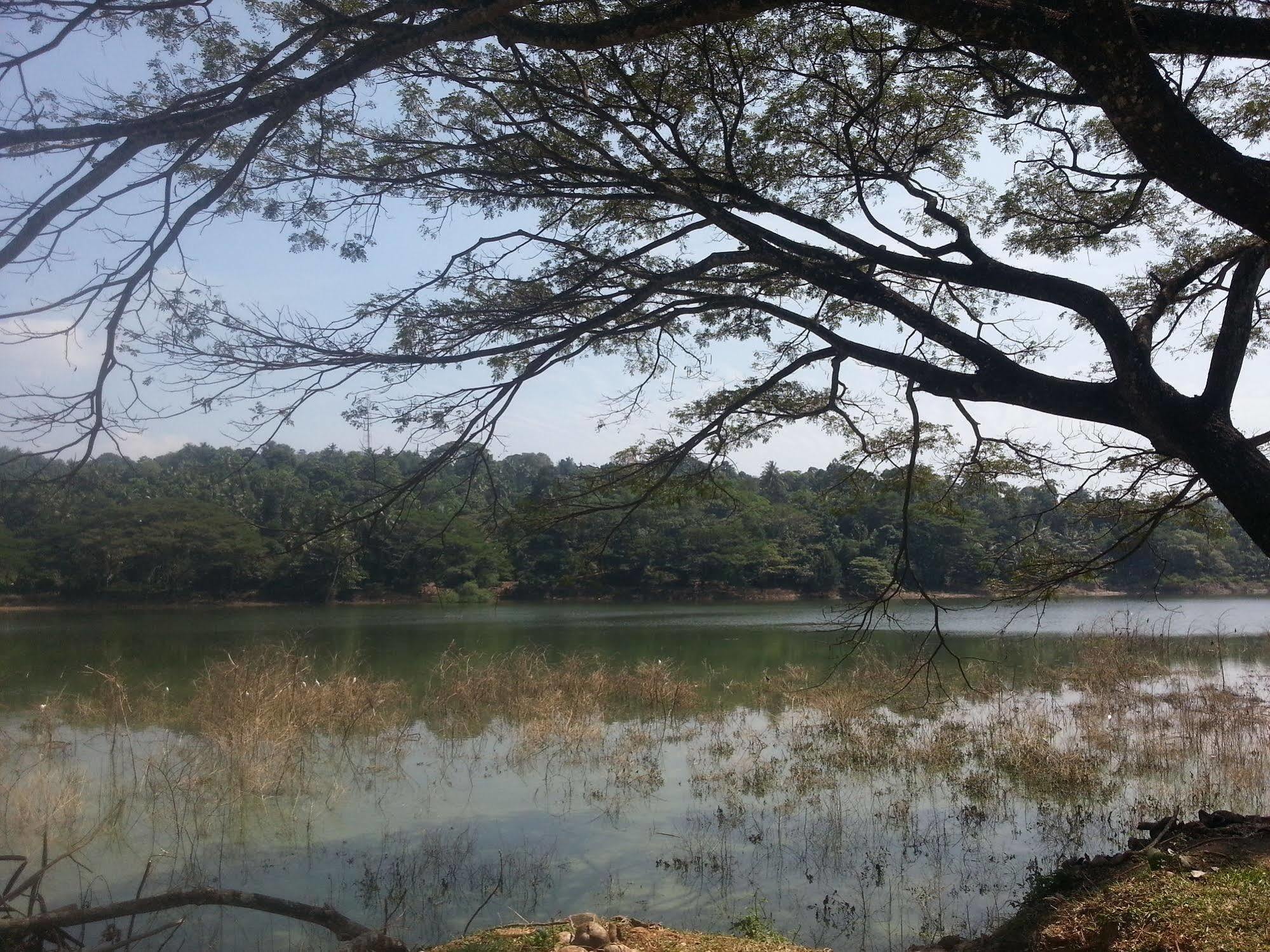 Kandy Holiday Home ภายนอก รูปภาพ